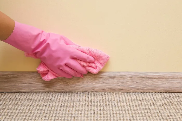 Alicia’s Cleaning Services's Other Services