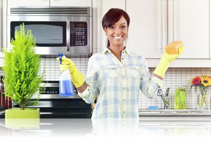 Kitchen Cleaning